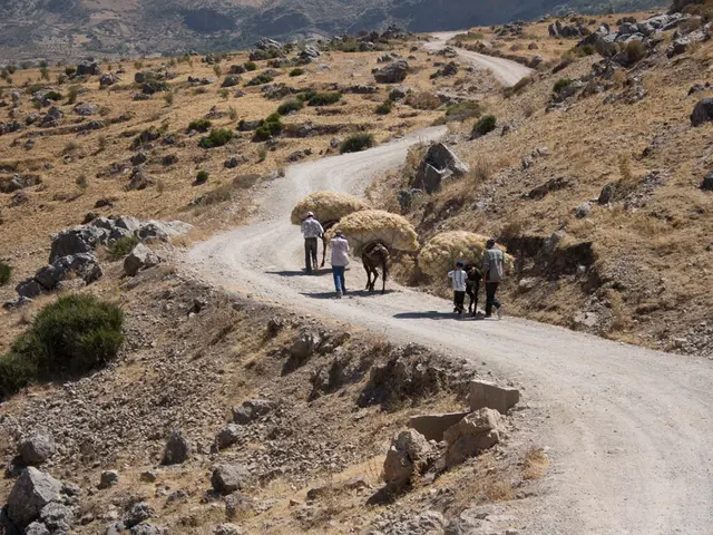 Excursion with Hollywoodbets, dubbed the "Amorous Adventure"