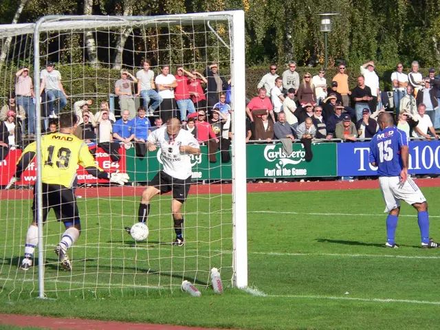 Accumulation Spree by Whales: Top 3 Cryptocurrencies They're Stockpiling Currently